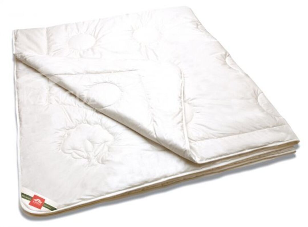 Одеяло Био Хлопок/Bio Cotton Каригуз <БХл21-7-3, 200*220, евро>